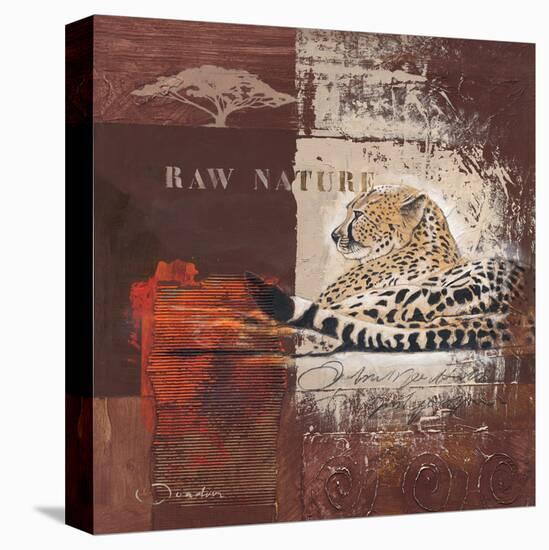 Raw Nature-Joadoor-Stretched Canvas