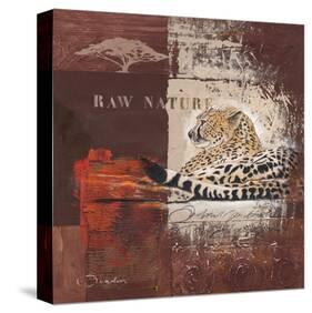 Raw Nature-Joadoor-Stretched Canvas