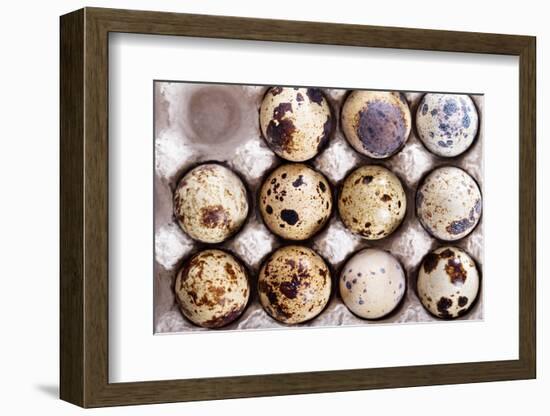 Raw Quail Eggs in Egg Holder from Above-Elena Veselova-Framed Photographic Print