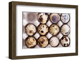 Raw Quail Eggs in Egg Holder from Above-Elena Veselova-Framed Photographic Print