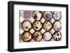 Raw Quail Eggs in Egg Holder from Above-Elena Veselova-Framed Photographic Print