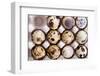 Raw Quail Eggs in Egg Holder from Above-Elena Veselova-Framed Photographic Print