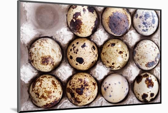 Raw Quail Eggs in Egg Holder from Above-Elena Veselova-Mounted Photographic Print