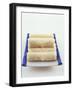 Raw Spring Rolls on a Platter-Peter Medilek-Framed Photographic Print