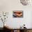 Raw Sweet Potatoes-tashka2000-Mounted Photographic Print displayed on a wall