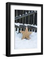 Raw Wooden Star in Front of Fence in the Snow-Andrea Haase-Framed Photographic Print