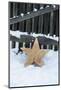 Raw Wooden Star in Front of Fence in the Snow-Andrea Haase-Mounted Photographic Print