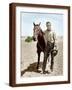 Brown Frame