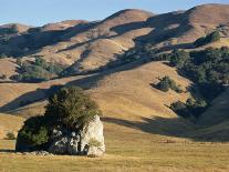 Coastal Hills of Marin County at Dusk, California, United States of America, North America-Rawlings Walter-Photographic Print