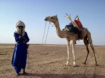 Tuareg Tribesman and Camel, Niger, Africa-Rawlings Walter-Photographic Print