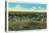 Rawlins, Wyoming, Panoramic View of the Town-Lantern Press-Stretched Canvas