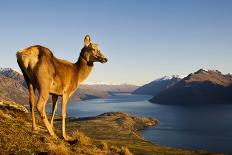 Lake Wakatipu, Queenstown, New Zealand-Rawpixel-Photographic Print