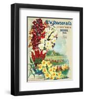 Rawson Seed Company Boston-null-Framed Art Print