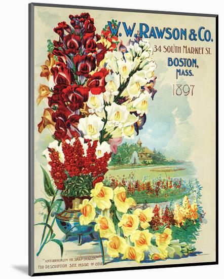 Rawson Seed Company Boston-null-Mounted Art Print