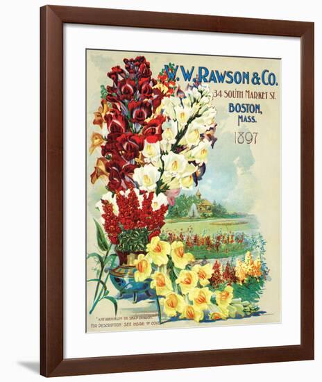 Rawson Seed Company Boston-null-Framed Art Print