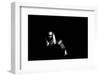 Ray Brown, Ronnie Scott's, November 1986-Brian O'Connor-Framed Photographic Print