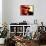 Ray Charles in His Dressing Room-null-Framed Stretched Canvas displayed on a wall