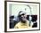 Ray Charles in the Recording Studio-null-Framed Photo