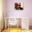 Ray Charles Portrait-null-Stretched Canvas displayed on a wall