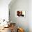 Ray Charles Portrait-null-Framed Photo displayed on a wall