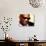 Ray Charles Portrait-null-Photo displayed on a wall