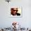 Ray Charles Portrait-null-Framed Photo displayed on a wall