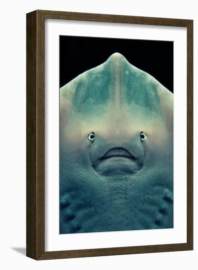 Ray Face-Lantern Press-Framed Art Print