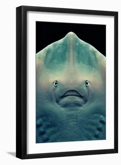 Ray Face-Lantern Press-Framed Art Print