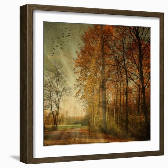 Ray Fall-Philippe Sainte-Laudy-Framed Photographic Print