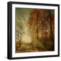 Ray Fall-Philippe Sainte-Laudy-Framed Photographic Print