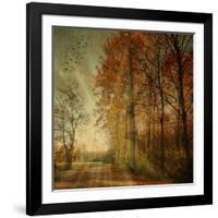 Ray Fall-Philippe Sainte-Laudy-Framed Photographic Print