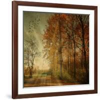 Ray Fall-Philippe Sainte-Laudy-Framed Photographic Print