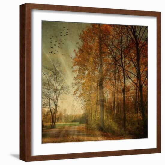 Ray Fall-Philippe Sainte-Laudy-Framed Photographic Print