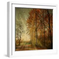 Ray Fall-Philippe Sainte-Laudy-Framed Photographic Print