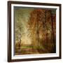 Ray Fall-Philippe Sainte-Laudy-Framed Photographic Print