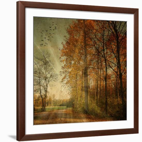 Ray Fall-Philippe Sainte-Laudy-Framed Photographic Print