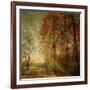 Ray Fall-Philippe Sainte-Laudy-Framed Photographic Print