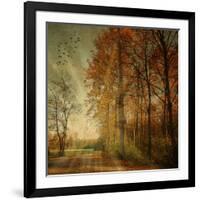 Ray Fall-Philippe Sainte-Laudy-Framed Photographic Print