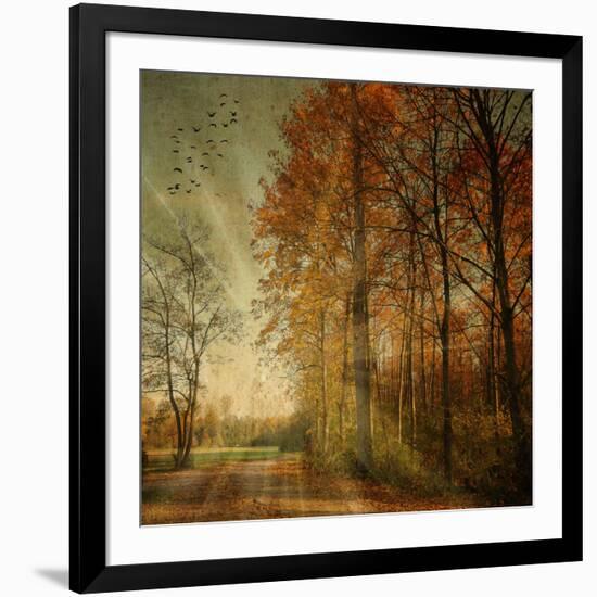 Ray Fall-Philippe Sainte-Laudy-Framed Photographic Print