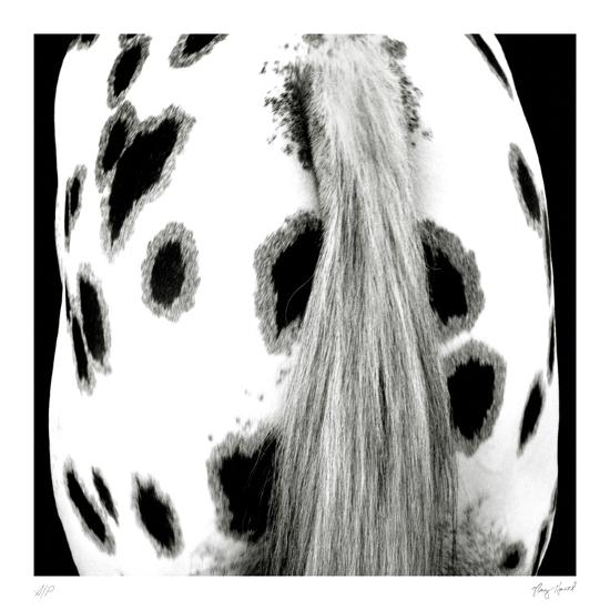 Collectable Print, , large