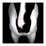 Piebald-Ray Hartl-Giclee Print