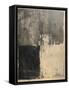 Framed Canvas
