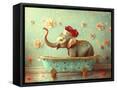 Framed Canvas