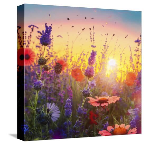 Stretched Canvas Print, , large