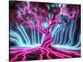 Stretched Canvas