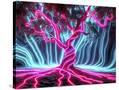 Stretched Canvas
