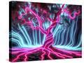 Stretched Canvas