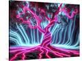 Stretched Canvas