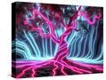 Stretched Canvas