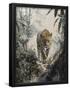 Essential Black
